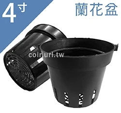 4寸蘭花盆(透氣黑吊耳盆)洋蘭盆