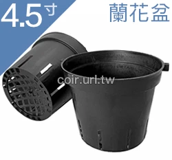 4.5寸蘭花盆(透氣黑吊耳盆)洋蘭盆