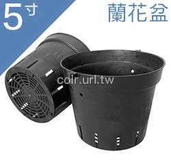 5寸蘭花盆(透氣黑吊耳盆)洋蘭盆
