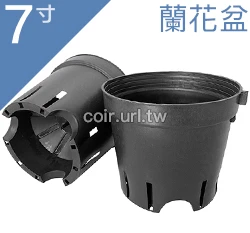 7寸蘭花盆(黑吊耳盆)