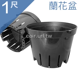 1尺蘭花盆(黑吊耳盆)(發泡盆)