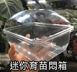 迷你育苗悶箱組 小透明溫室育苗組合