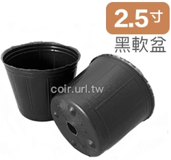 2.5寸栽培育苗軟盆D7xH7cm(黑)