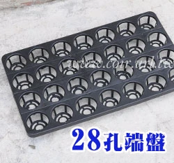 28孔端盤(適用1.5~2寸盆)
