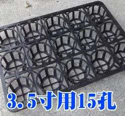 15孔大端盤(適用3.5寸盆)單個入
