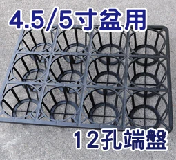 大12孔端盤-(適用5寸盆)
