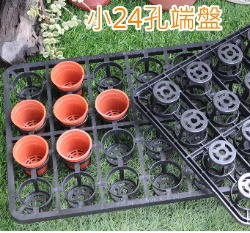 小24孔端盤-(5.5cm栽培盆專用)