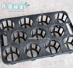 11孔端盤-含手把(適用4寸盆)單個入