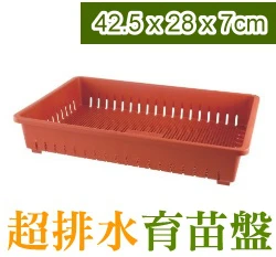 超排水育苗盤（種子苗.蘭花苗.蕨類.食蟲）-磚紅色