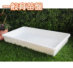 一般育苗盤(多用途整理端盤.整理盤)白色-單入