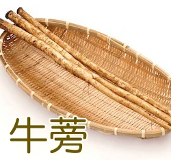 日本牛蒡種子