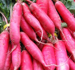 粉紅冰柱蘿蔔種子(Pink Summercicle Radish)