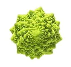 鑽石花椰菜種子(羅馬花椰菜cavolfiore romano)
