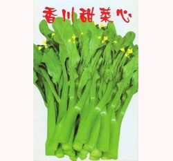 香川甜菜心種子
