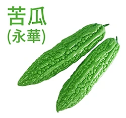 苦瓜種子「永華」Balsam Pear