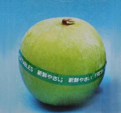 芋頭冬瓜種子(原裝包)