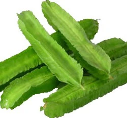 四角豆種子(翼豆、楊桃豆)Four Angled Bean
