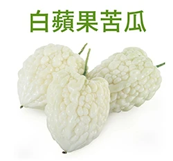 白蘋果苦瓜種子「農友3023」Balsam Pear