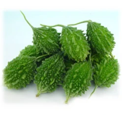 迷你山苦瓜種子「農友1331」Balsam Pear