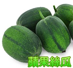 蘋果絲瓜(蘋果菜瓜)種子