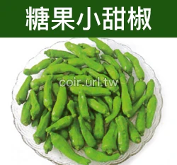 糖果小甜椒種子(烤串小甜椒) Sweet Pepper 小青椒