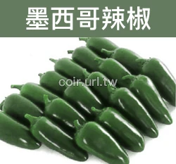 墨西哥辣椒種子 Hot Pepper