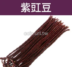 紫豇豆.紫菜豆種子Asparagus Bean 紫色長豆長菜豆