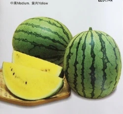 小玉西瓜種子Watermelon