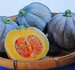 南瓜種子Pumpkin