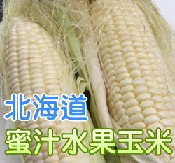 北海道「蜜汁」水果玉米種子