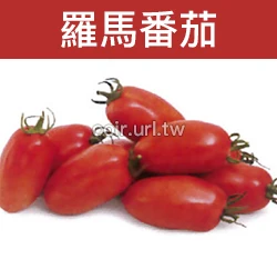 羅馬番茄種子 Tomato