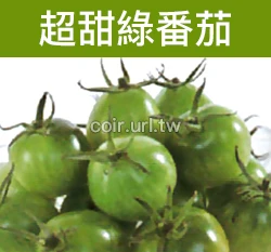 超甜綠番茄種子 Tomato