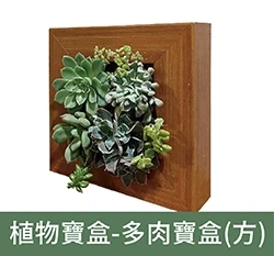 植物寶盒-多肉寶盒(方) 組盆畫框