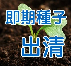 (出清)包裝種子
