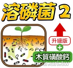 菌專家-溶磷菌2.0強效升級版