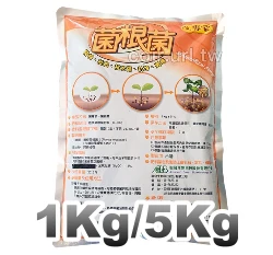 菌專家-菌根菌Mycorrhizal Fungi