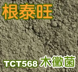 根泰旺300公克 木黴菌TCT568