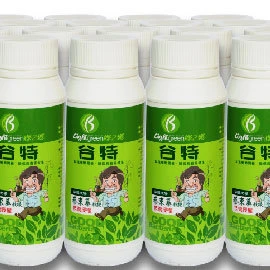 谷特菌(新蔡18菌)放線菌種