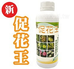 新促花王 (累積開花前驅物、促進花苞開花肥)