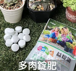 益錠讚錠劑長效肥料（21-7-14+1.2Mgo）水生蓮花肥多肉專用錠狀肥料100公克/包