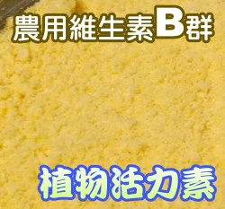 植物活力素B群維生素（可溶性維生素B群粉劑）