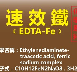 速效鐵、螯合鐵元素(EDTA -Fe)
