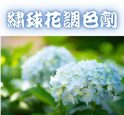 硫酸鋁鉀（藍色繡球花調色劑）