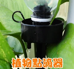 寶特瓶用植物點滴器(自動澆水器)-單支入