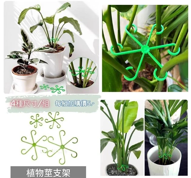 植物莖支架 花梗支架 觀葉植物防倒伏固定器 盆栽收攏器 集中器