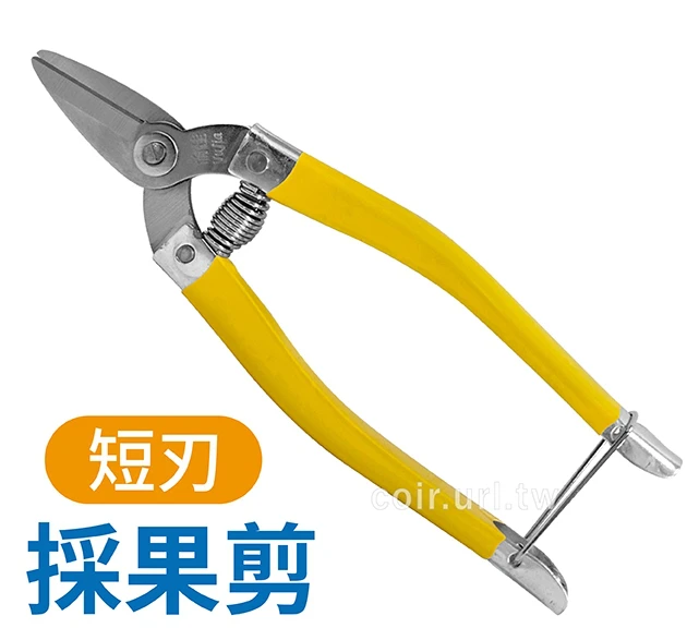 短刃採果剪 不銹鋼芽切剪
