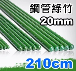 20mm鋼管綠竹(內塞型)-單支