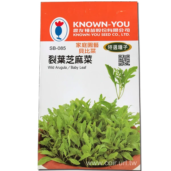 裂葉芝麻菜種子 Baby leaf