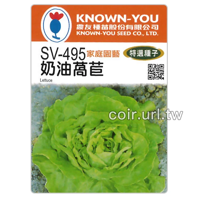 奶油萵苣種子 Lettuce （奶油生菜）