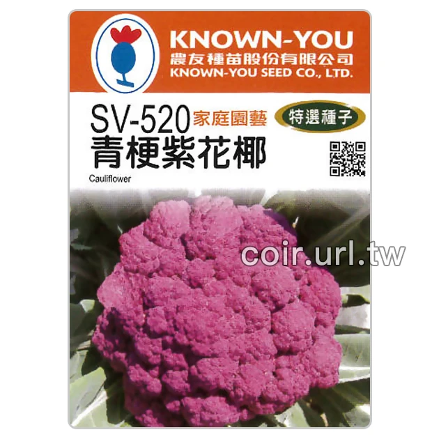 青梗紫花椰菜種子 Cauliflower（紫色花椰）